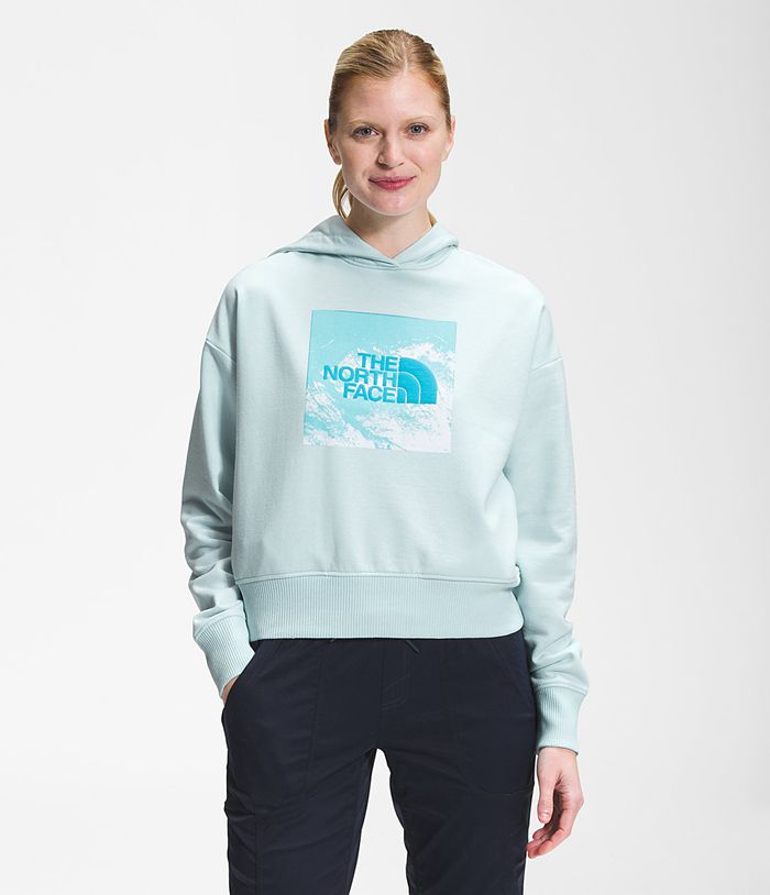 Sudadera Con Capucha The North Face Mujer Logo Play - Colombia WLCZAG569 - Azules